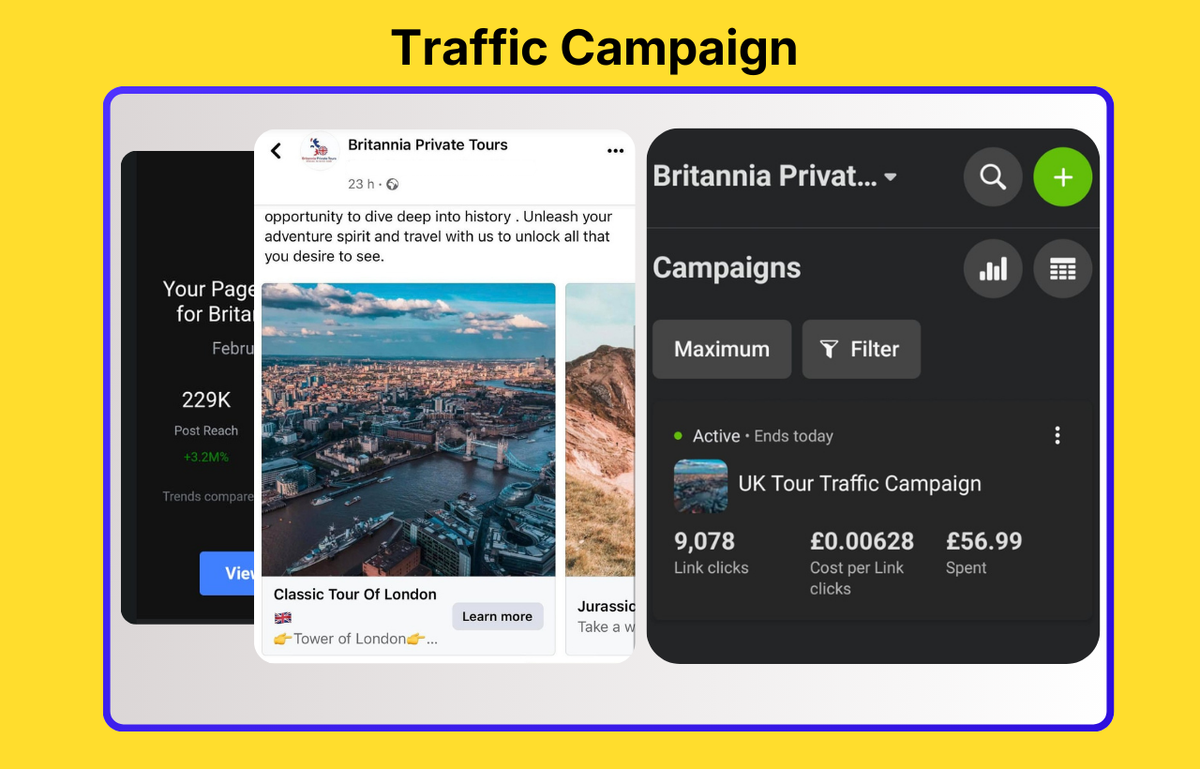 Meta advertising case study