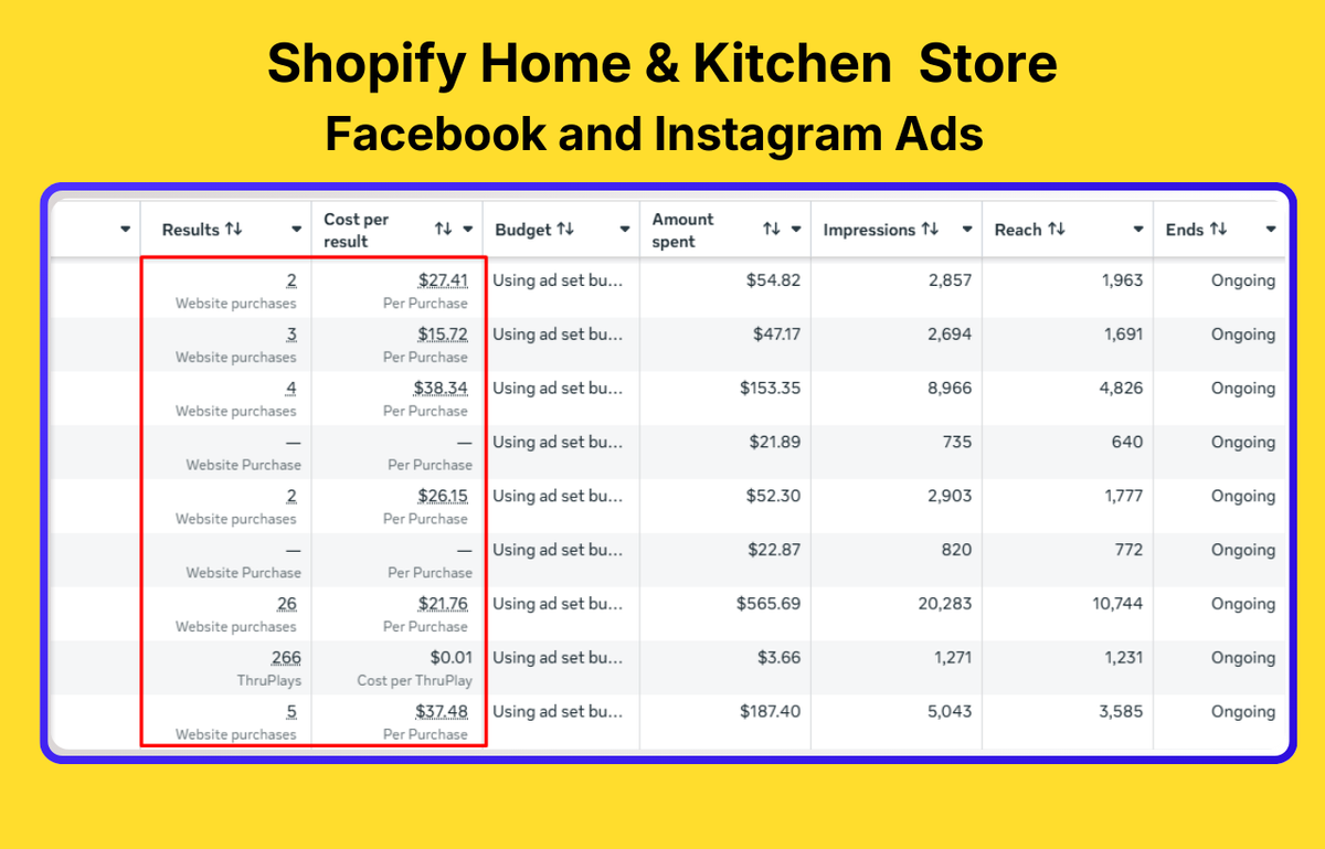 Meta advertising case study