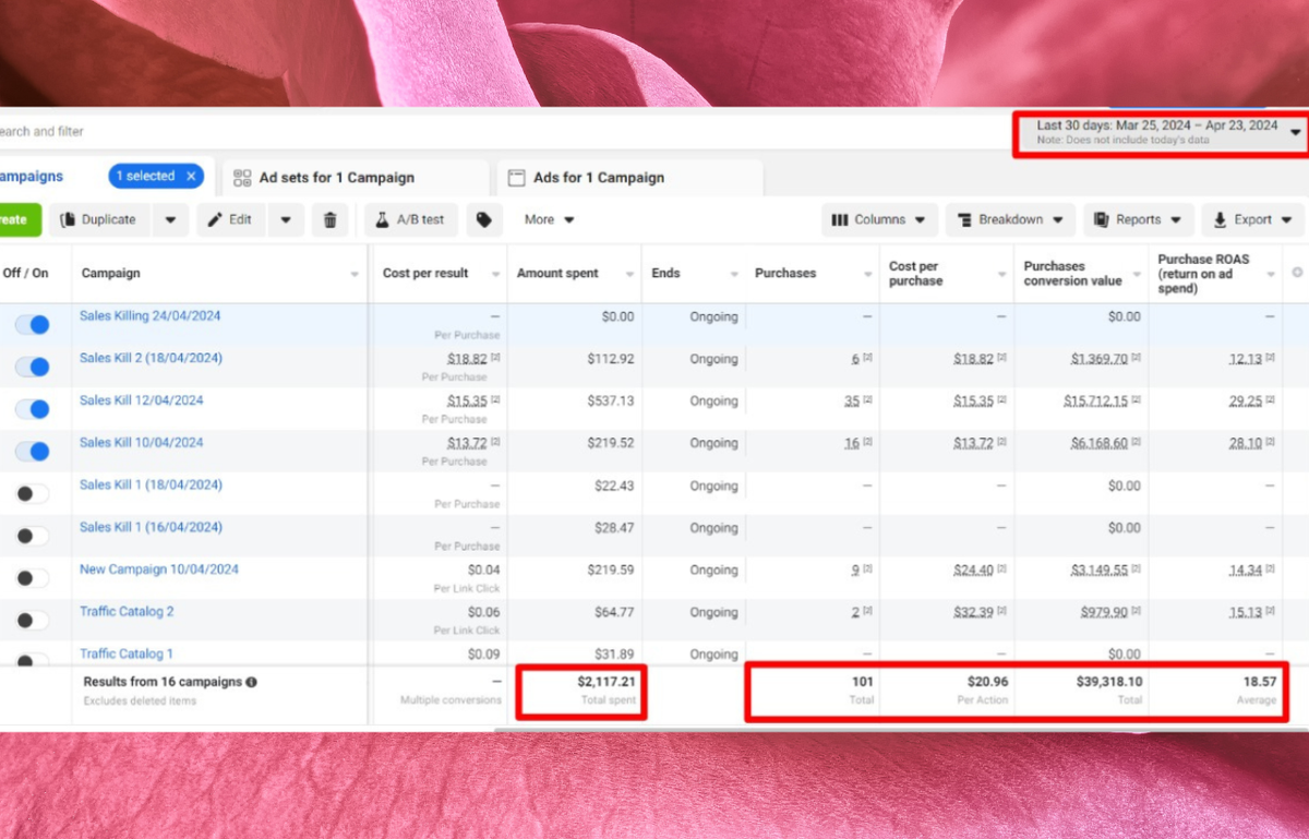 Meta advertising case study