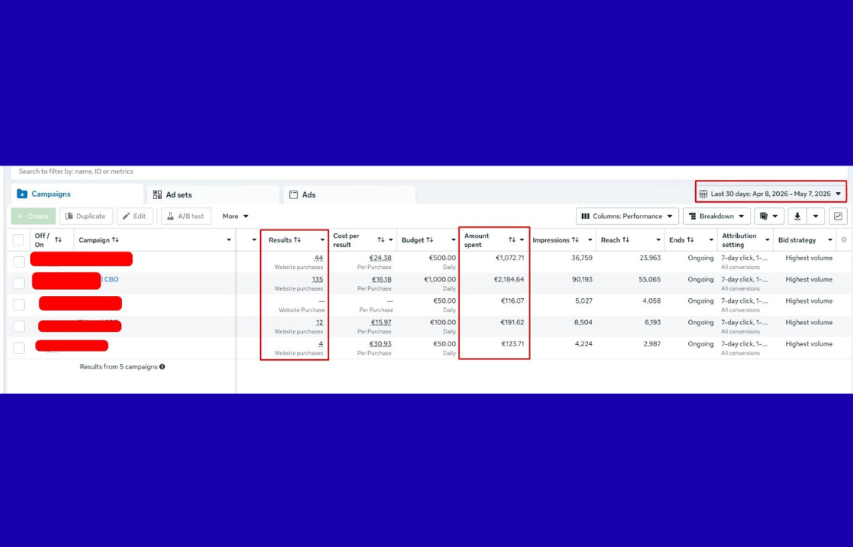 Meta advertising case study
