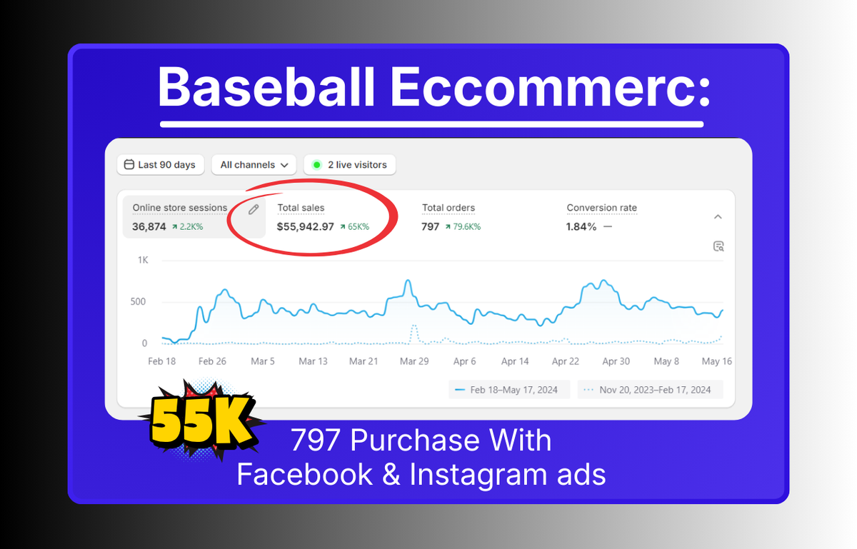 Meta advertising case study