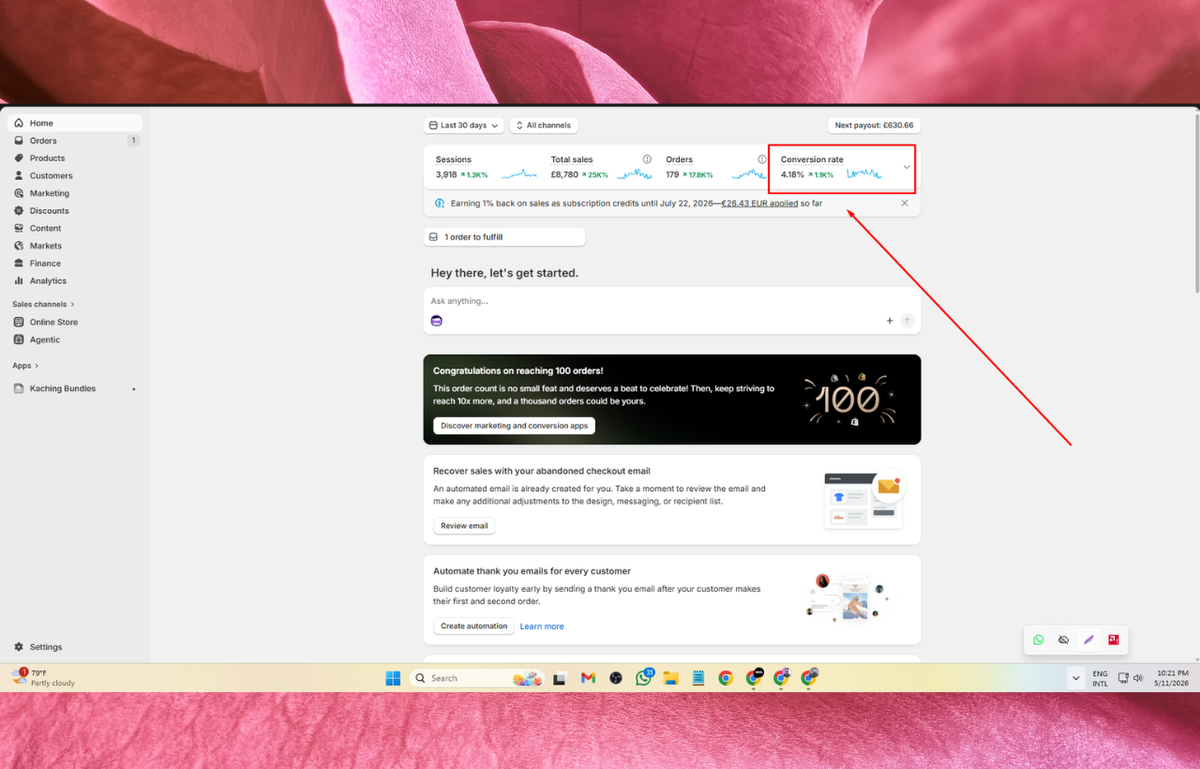 Meta advertising case study